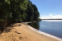 Black Fish Cove, Hartshorne Woods Park - beach.jpg