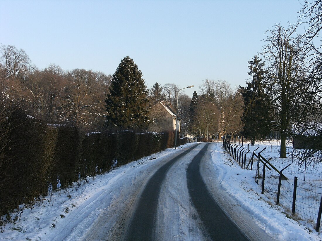 Weert (Meerssen-Maastricht)