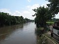 Čeština: Opadající povodeň 2013 na Ohři v Bohušovicích nad Ohří. Okres Litoměřice, Česká republika. English: Dicreasing water after 2013 flood at Ohře River in Bohušovice nad Ohří town, Litoměřice District, Czech Republic.