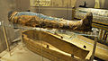 Civic Archeologisch Museum van Bologna, Egyptische collectie, de mummie van Usai, zoon van Nehket, XXVI-dynastie.