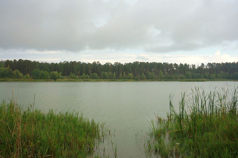 File:Bolshoe Vassilievskoe lake 01.JPG