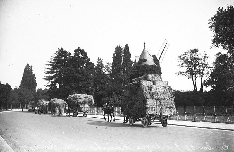 File:Boulogne 1914 fourrage.jpg