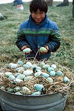 Thumbnail for File:Boy holds eggs in hands.jpg