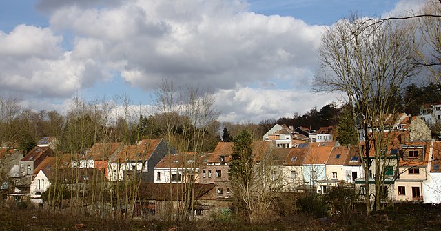 View of houses in Boitsfort