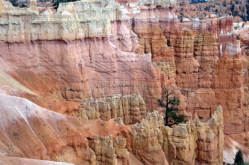 File:Bryce Canyon, from above and below (14714407376).jpg