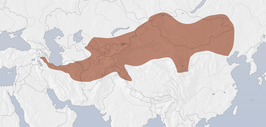 Mongoolse Woestijnvink: Soort uit het geslacht Bucanetes