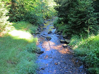 The Buchheller near the visitor parking lot