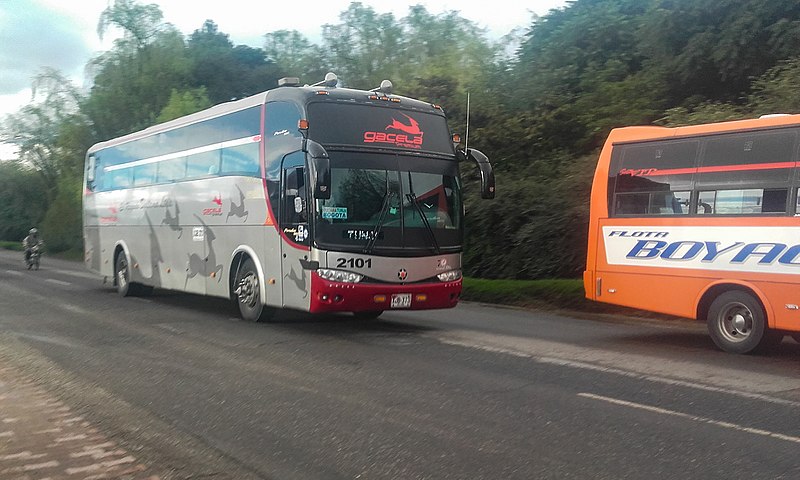 File:Bus Lg Col.jpeg