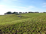 Buzbury Rings