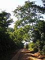 Camino rural en San Pedro