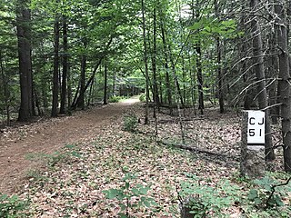 <span class="mw-page-title-main">Concord-Lake Sunapee Rail Trail</span> Rail trail