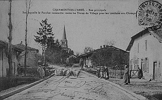 CP 07874 Charmontois l'abbé 1906.jpg
