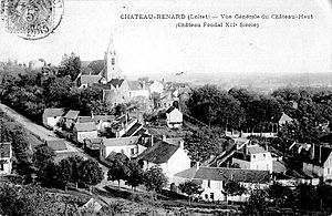 CP Château-Renard vue générale.jpg