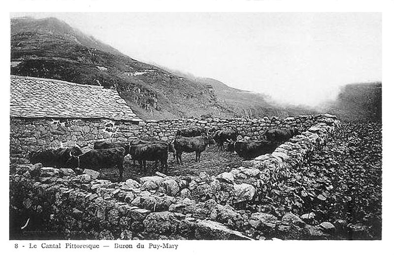 File:Cantal buron puy-mary.jpg