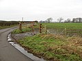 Cattle crossing, Nethertown - geograph.org.uk - 299713.jpg