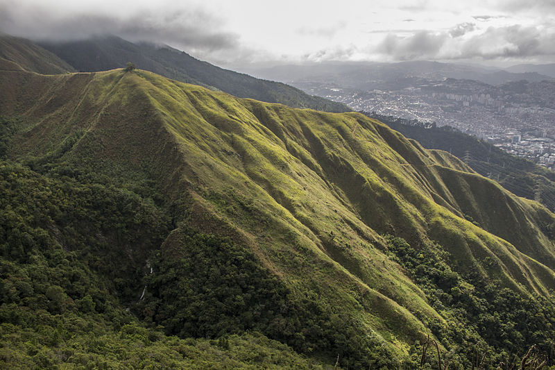 File:Cerro El Avila.jpg