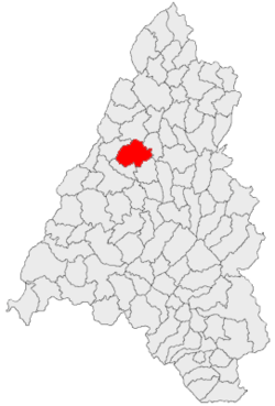 Location of Cetariu