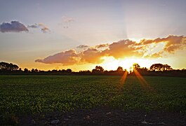 Coucher de soleil.