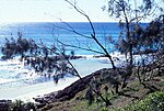 Thumbnail for File:Champagne Pools Middle Rocks Fraser Island Queensland August 1986 IMG 0161.jpg