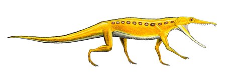 Tập_tin:Chanaresuchus.jpg