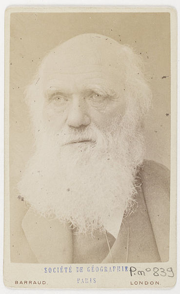 File:Charles Darwin by Barraud c1881.jpg