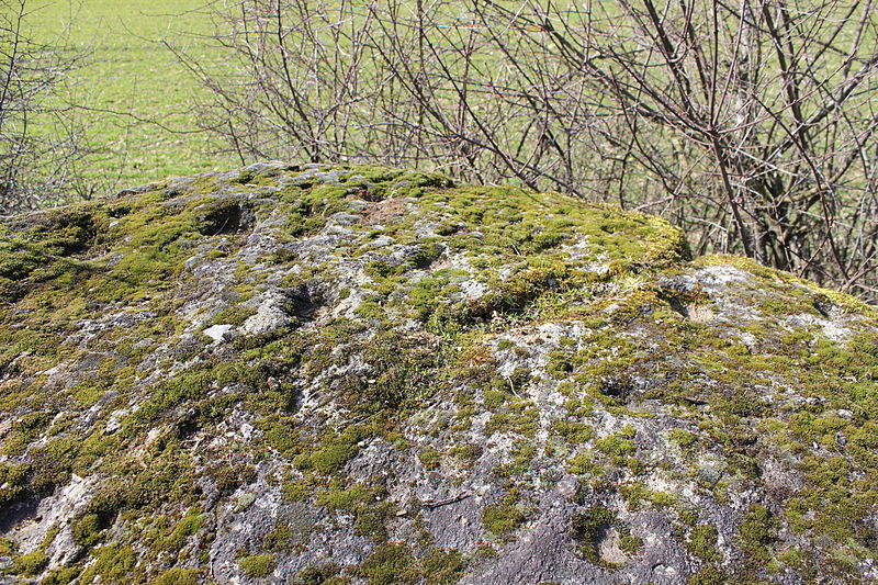 File:Chozeau - Chaise du Seigneur-009.JPG