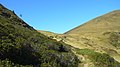 Col du Lion - panoramio.jpg