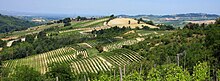 Panorama dei Colli tortonesi