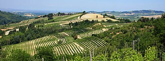 The Colli Tortonesi wine region in the province of Alessandria. ColliTortonesi panorama.jpg