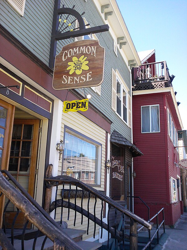 Common Sense Cafe at 28 Cross Street next door to Yellow Deli--both owned and operated by the Twelve Tribes.