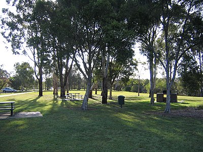 Yeronga