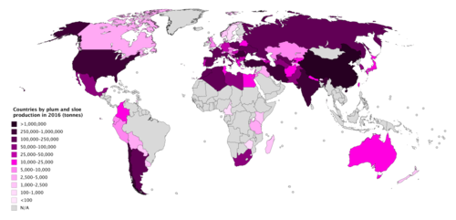 Countries by plum and sloe production in 2016 Countries by plum and sloe production in 2016.png