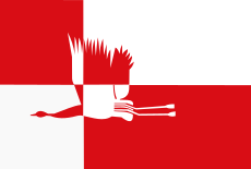 Cranendonck vlag.svg