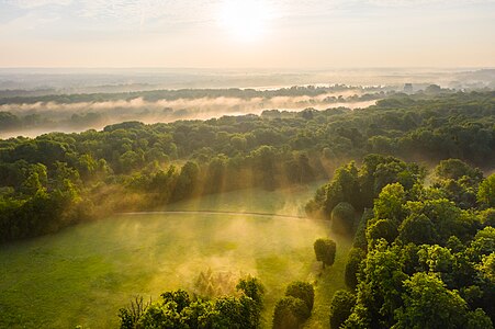 "Crepuscular_rays_over_parc_de_Noisiel_at_sunrise,_26_May_2019.jpg" by User:B2Belgium