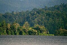 Danau Lindu ve kuş 2007.jpg