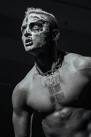 <span class="mw-page-title-main">Darby Allin</span> American professional wrestler