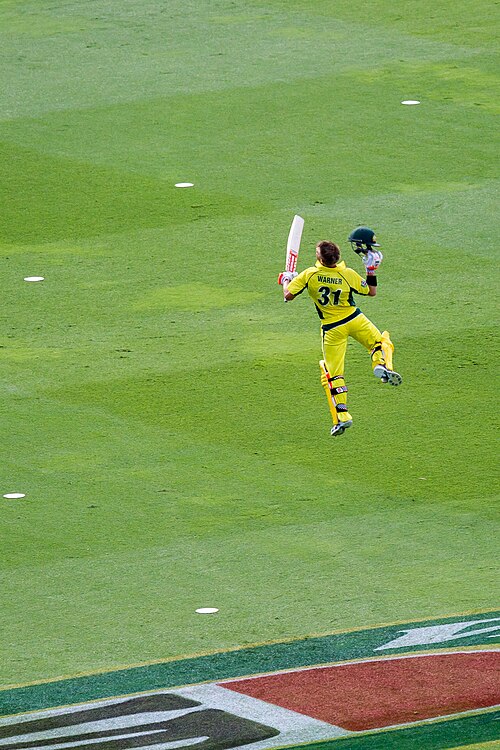 Warner celebrating his century in the fifth ODI against India at the Sydney Cricket Ground in 2016