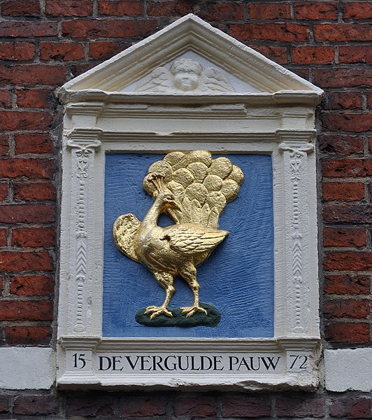 File:De vergulde pauw (9591948768).jpg