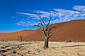 * Nomination One of the dead trees at Dead Vlei, Namibia --Domob 12:48, 10 July 2019 (UTC) * Promotion  Support Good quality. --Milan Bališin 16:24, 10 July 2019 (UTC)