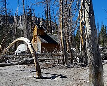 Overabundance of carbon dioxide in the soil from a natural underground volcanic source has killed a large area of trees Death by Carbon Dioxide, Horseshoe Lake, Mammoth, CA 2016 (32011250720).jpg