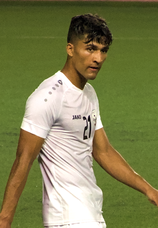 <span class="mw-page-title-main">Dilawar Ahmadzay</span> Afghan footballer