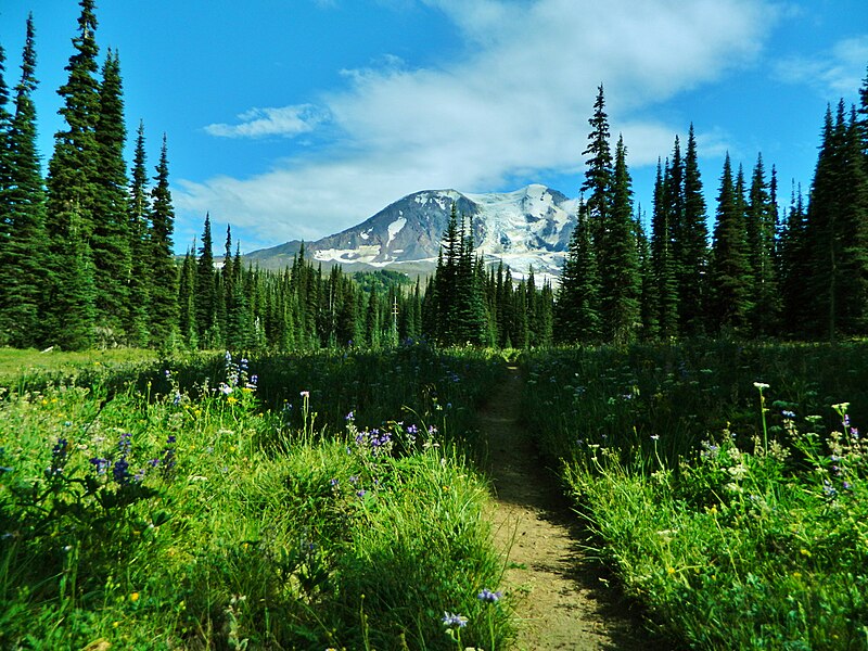 File:Divide Camp Meadows at Mount Adams Wilderness 02.JPG