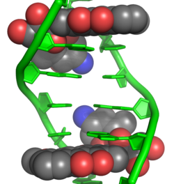 Doxorubicin–DNA complex 1D12.png