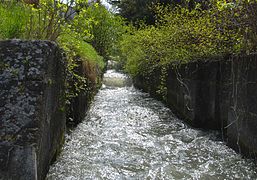 24.6.07 Wiener Neustädter Kanal