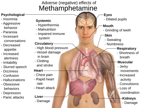 Tập_tin:Effects_of_metamphetamine.svg