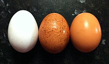 White, speckled (red), and brown chicken eggs Egg colours.jpg