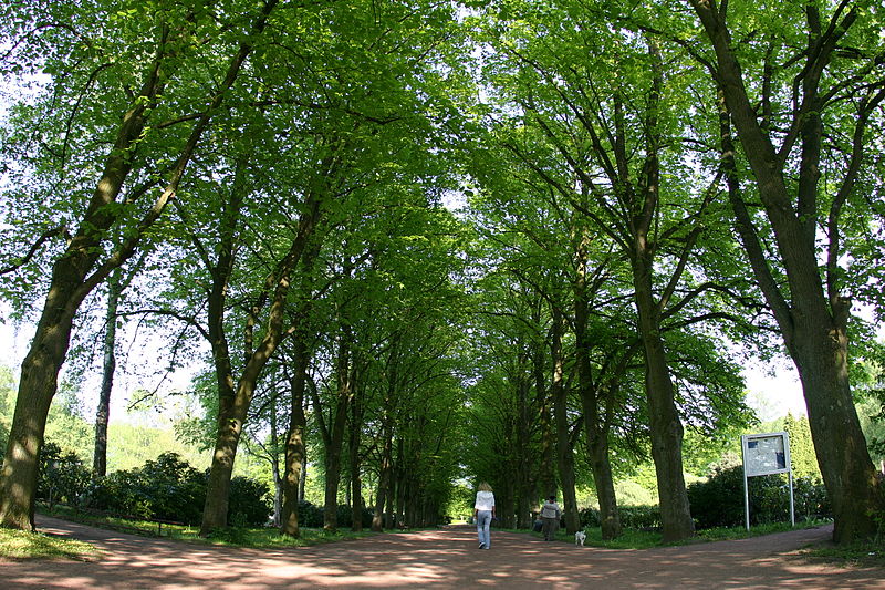 File:EmdenFriedhofTholenswehrAllee.jpg