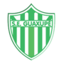 Thumbnail for Sociedade Esportiva Guaxupé