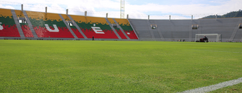 Estadio Manuel Murillo Toro playing field.png