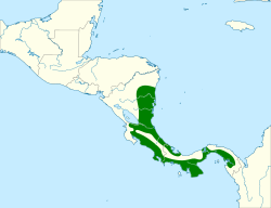 Euphonia luteicapilla map.svg